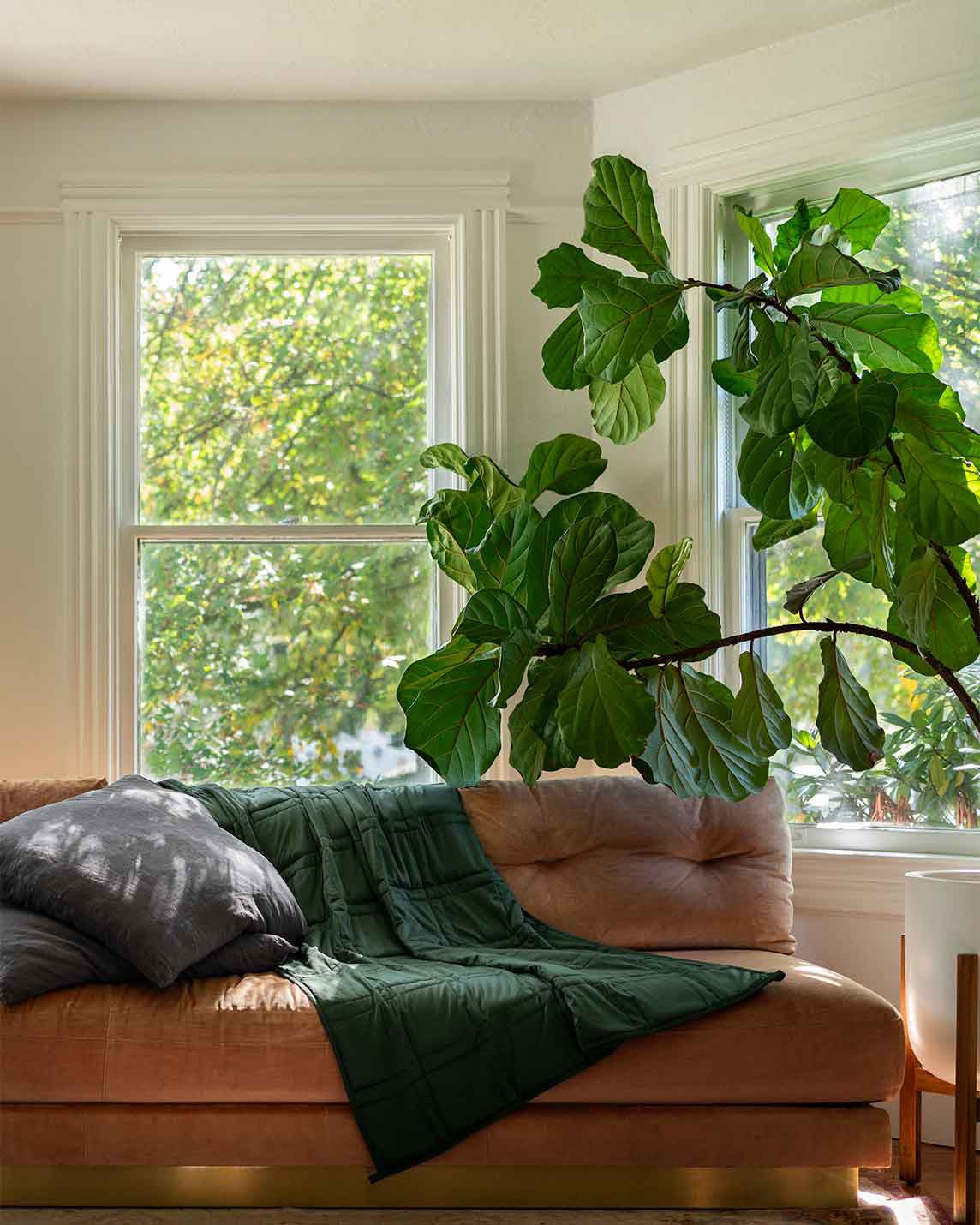 Wirecutter Offer | Weighted Blanket