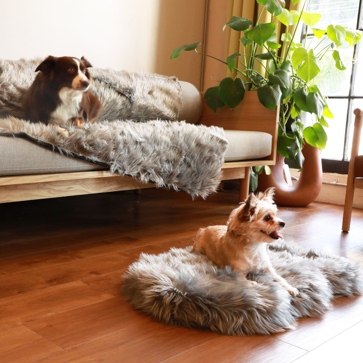 PupRug® Orthopedic Bed + Matching Waterproof Blanket Bundle - Charcoal Grey