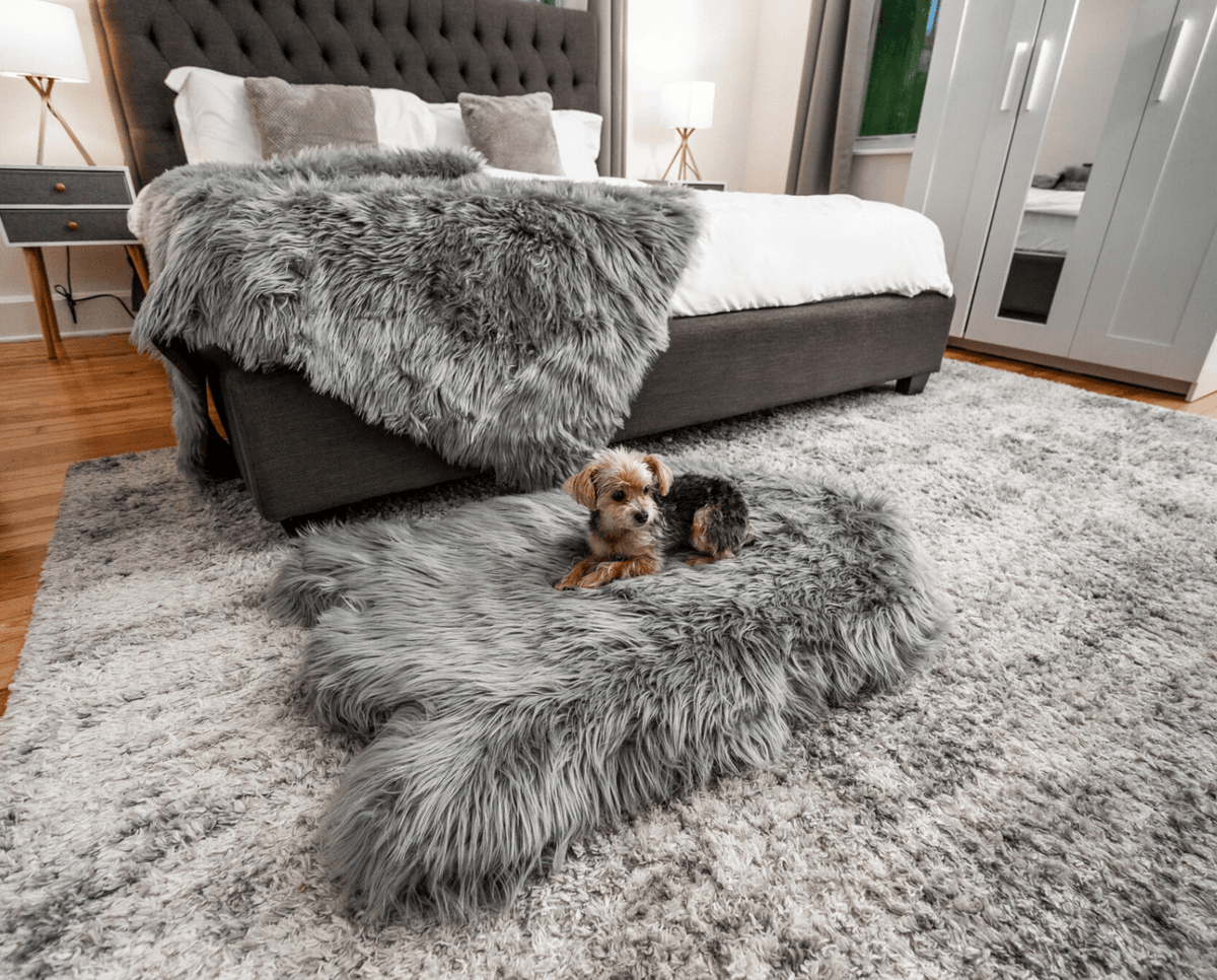 PupRug® Orthopedic Bed + Matching Waterproof Blanket Bundle - Charcoal Grey