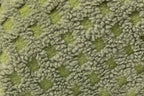 Wiggle Pillow Cover