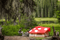 Kinoko Mushroom Tent (S)