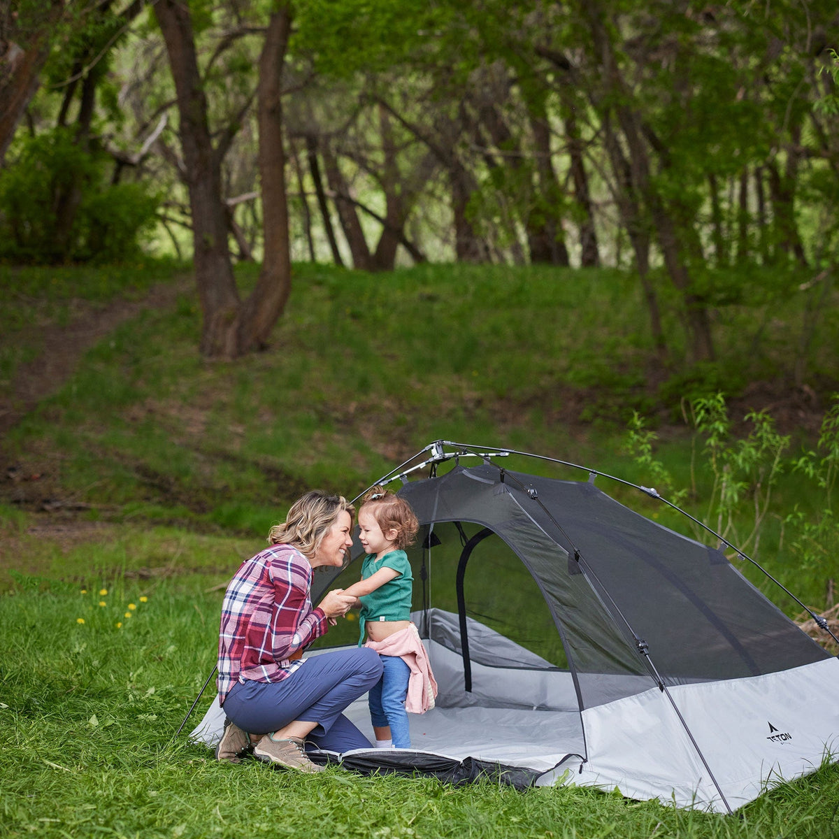 Vista 2-Person Quick Tent