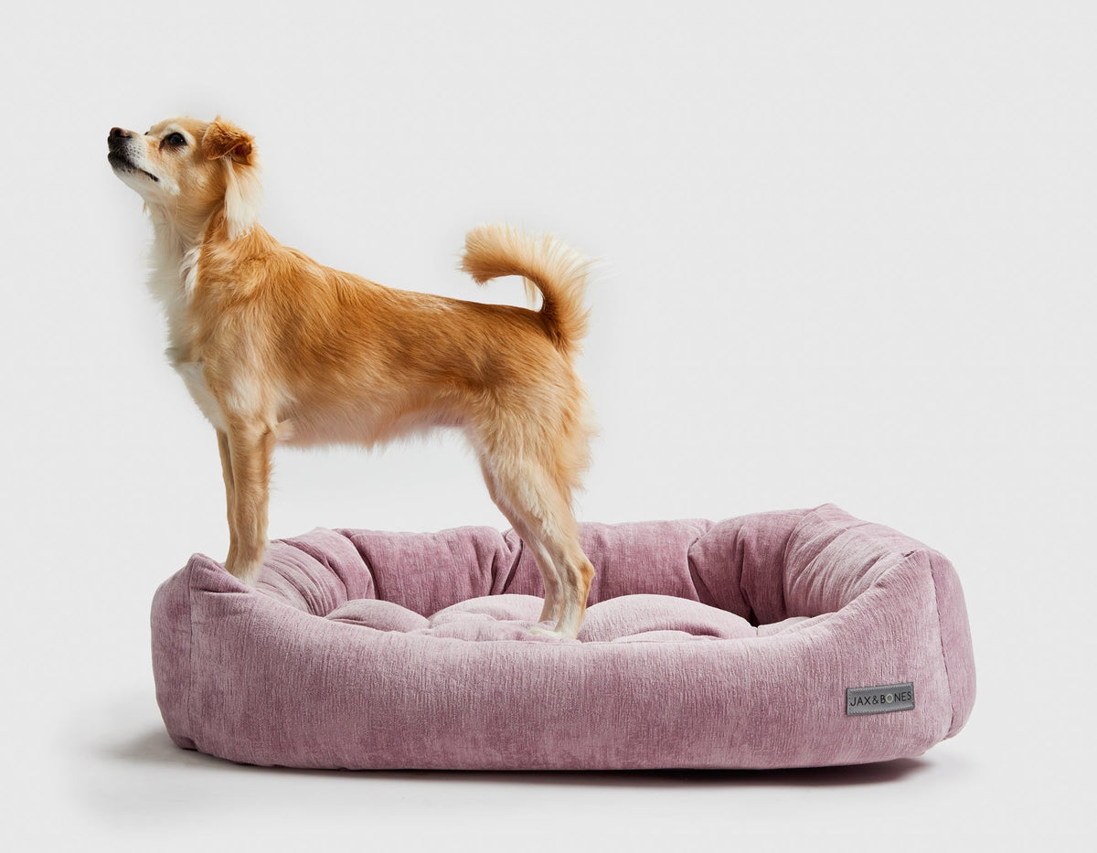 Dream Napper Bed