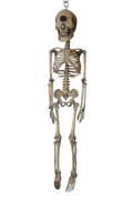 3 Ft. Cyclops Skeleton Halloween decoration