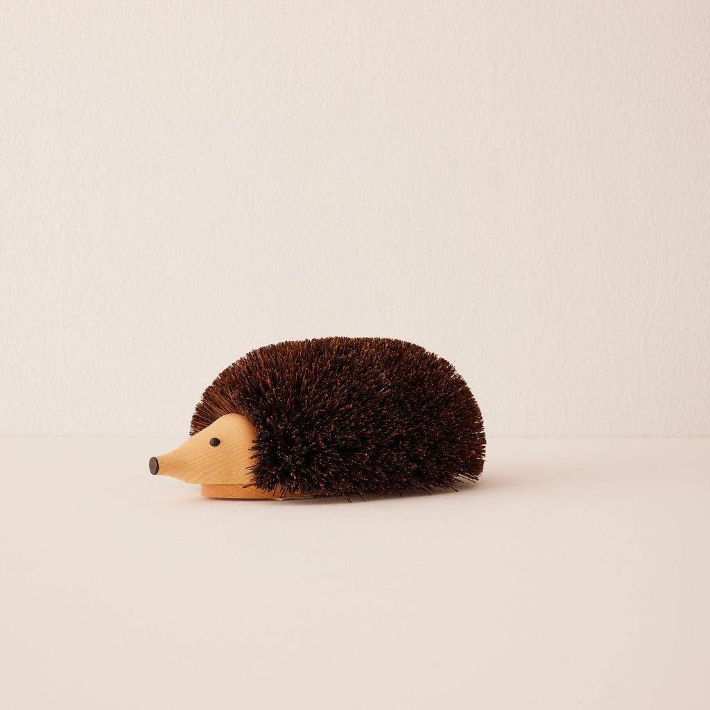 Shoe Cleaning Hedgehog