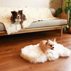 PupRug® Orthopedic Bed + Matching Waterproof Blanket Bundle - White with Brown Accents