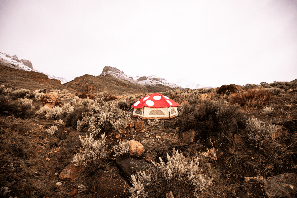 Kinoko Mushroom Tent (S)