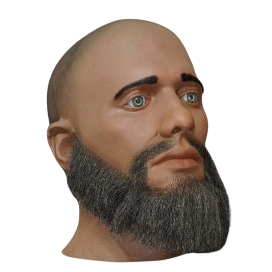 Bearded David Head Halloween decoration