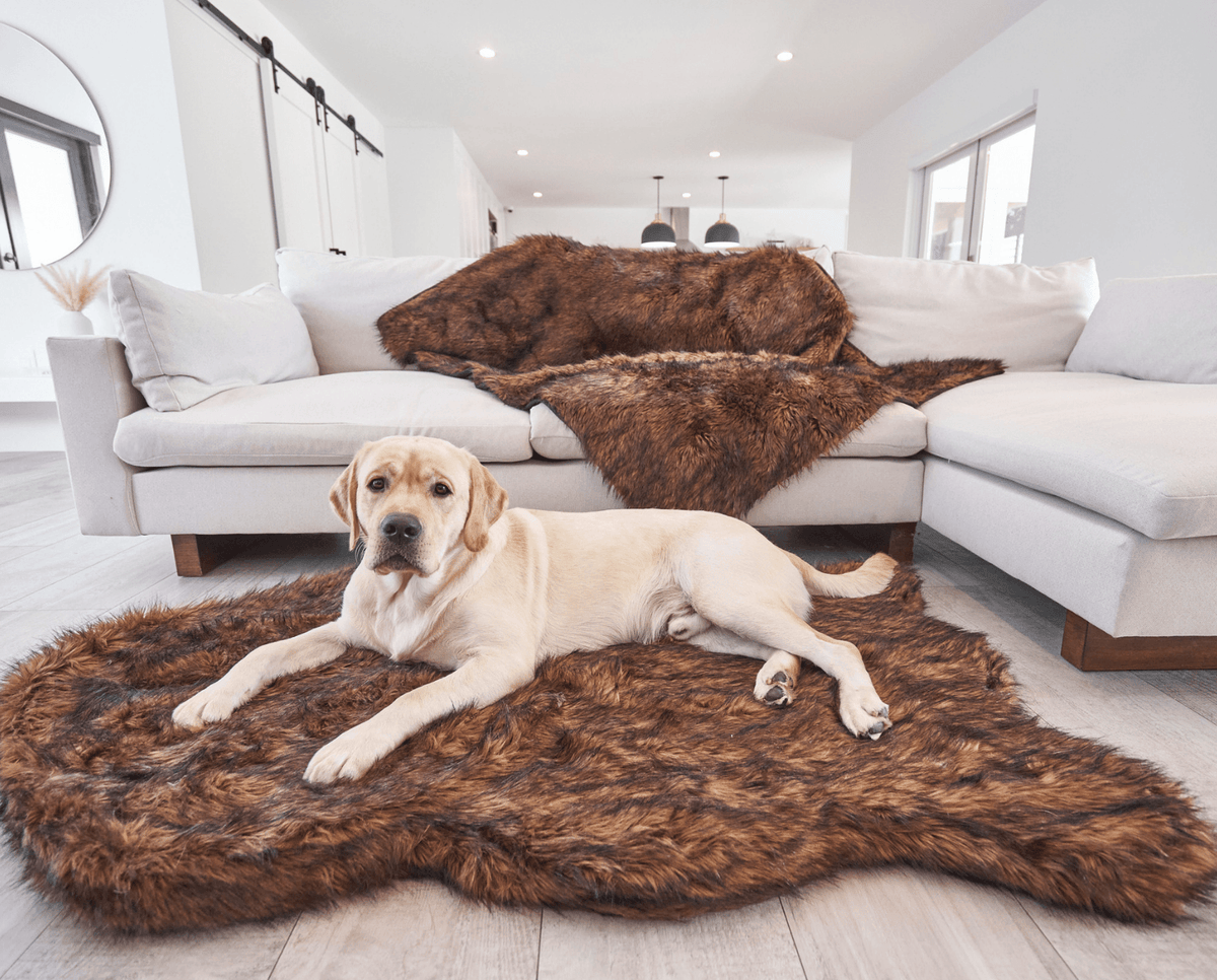 PupRug by Paw.com® Faux Fur Orthopedic Dog Bed - Curve Brown