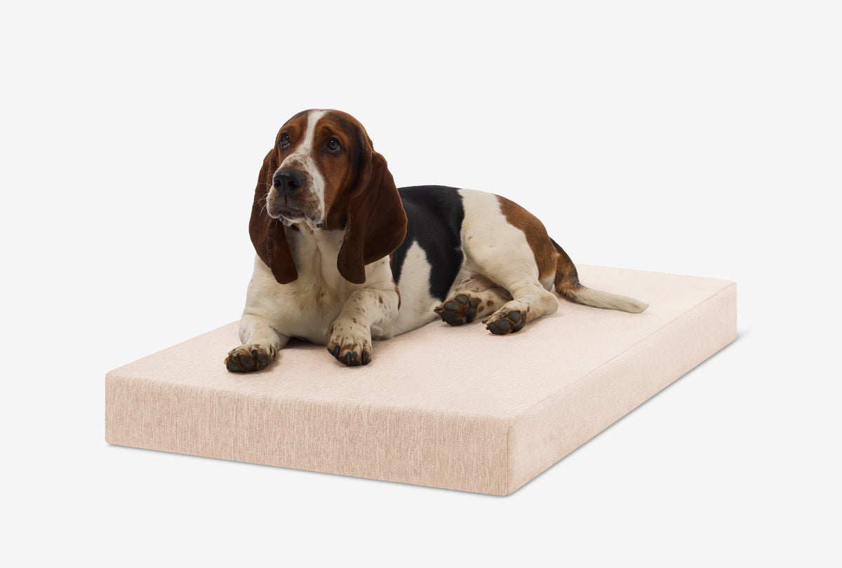 OrthoLift Crate Bed