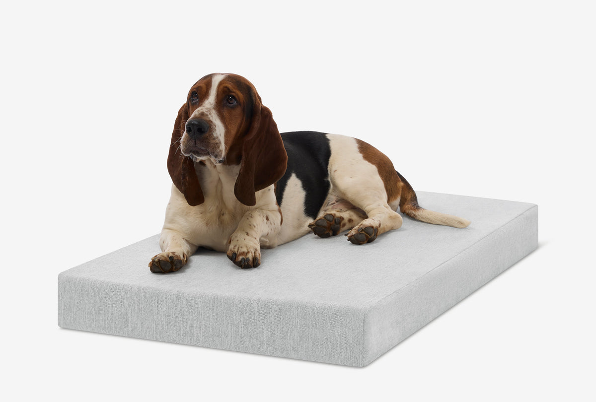 OrthoLift Crate Bed