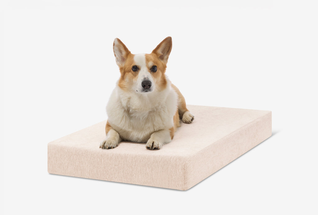 OrthoLift Crate Bed
