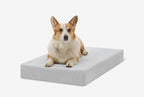 OrthoLift Crate Bed