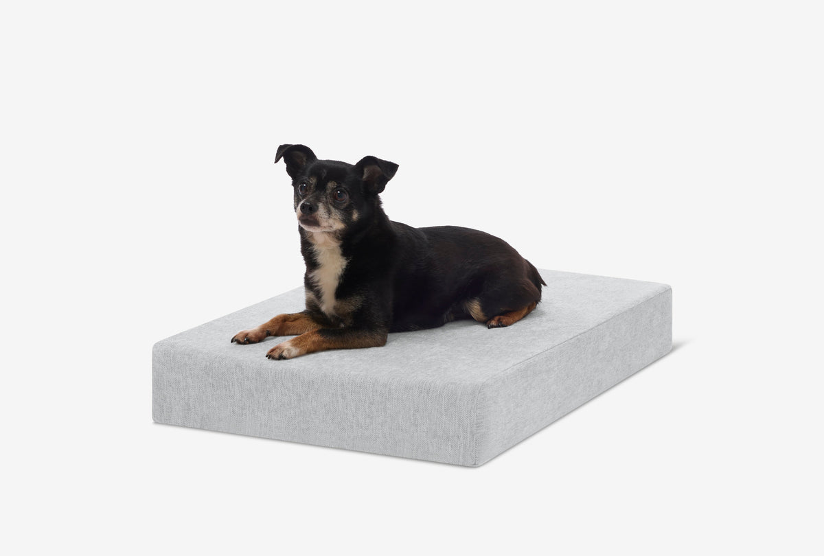 OrthoLift Crate Bed