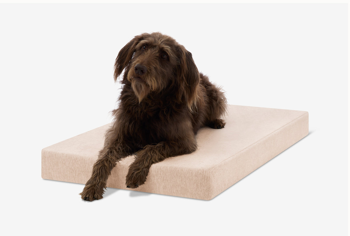 OrthoLift Crate Bed