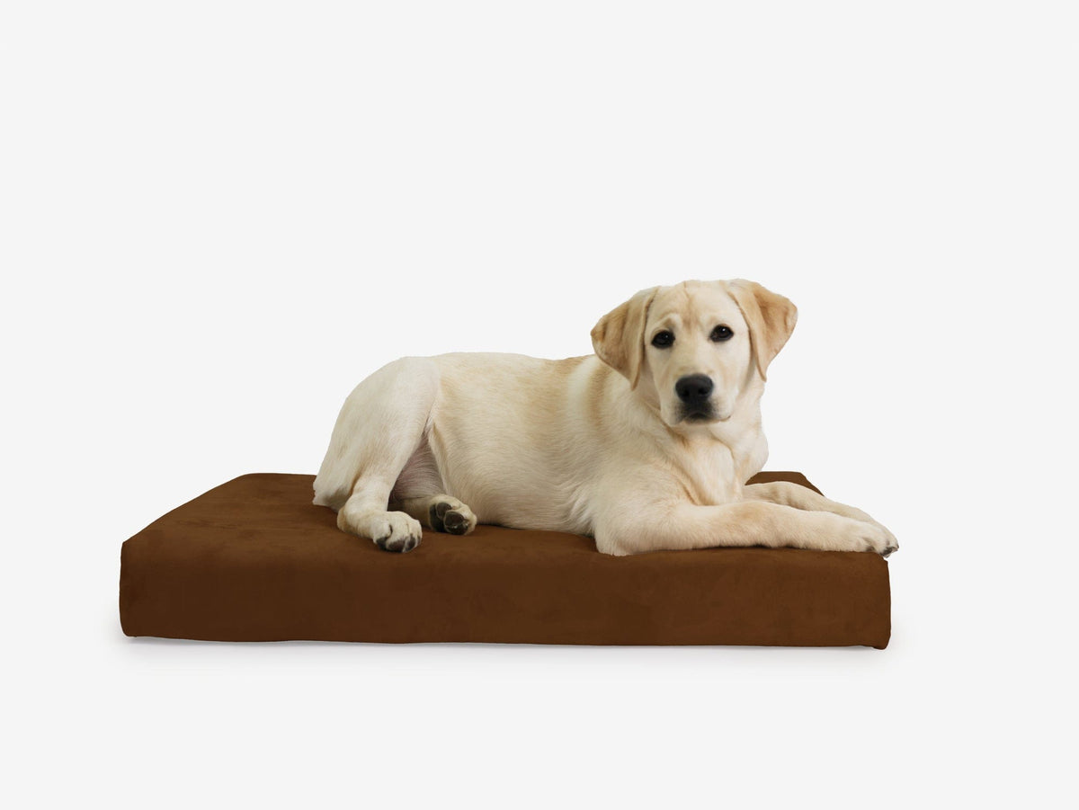 OrthoLift Crate Bed