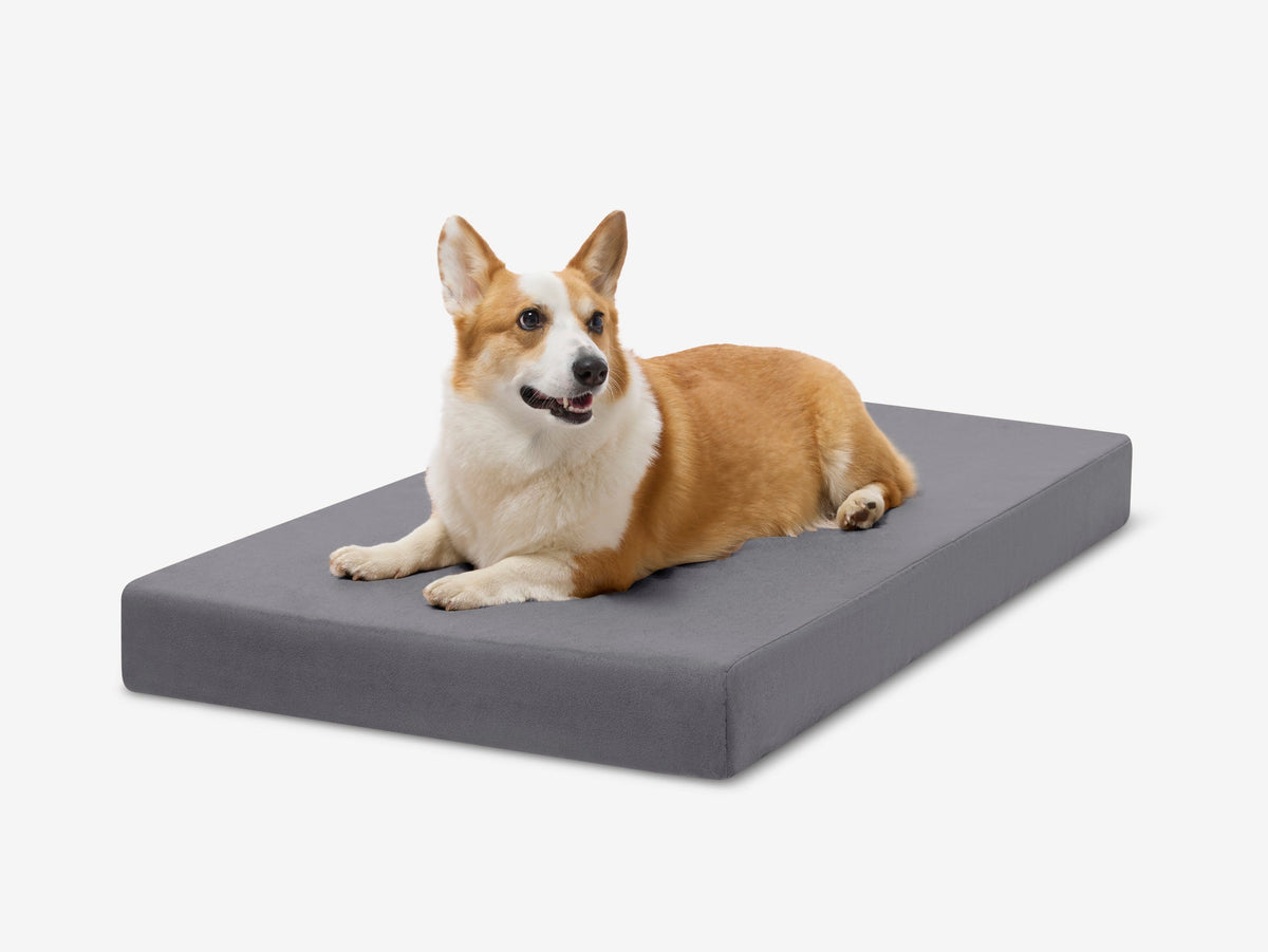 OrthoLift Crate Bed