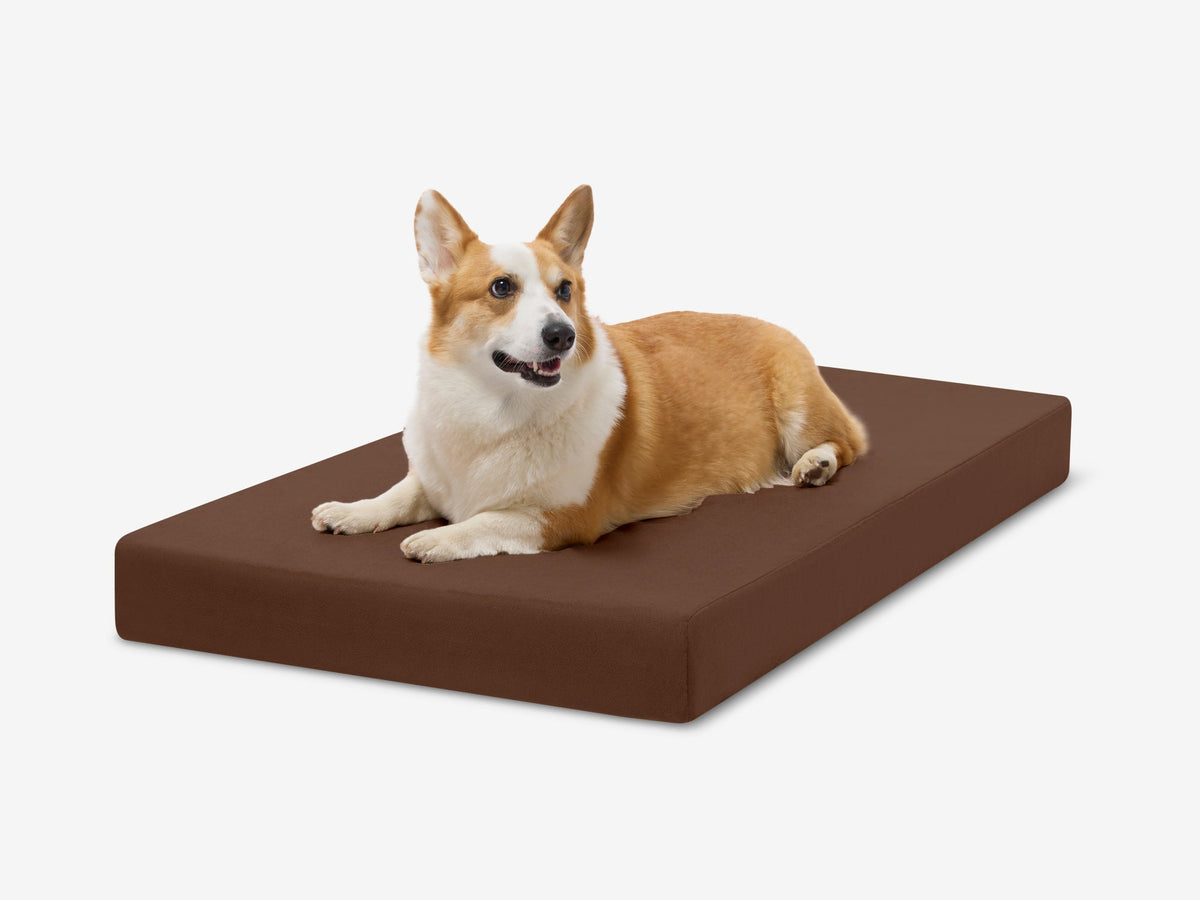 OrthoLift Crate Bed
