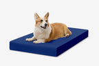 OrthoLift Crate Bed