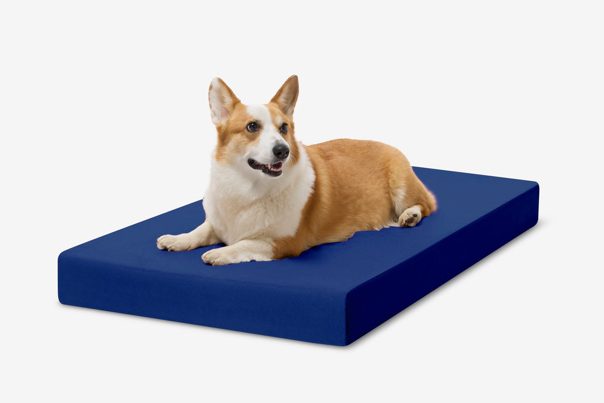 OrthoLift Crate Bed