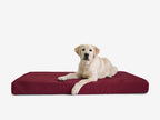 OrthoLift Crate Bed