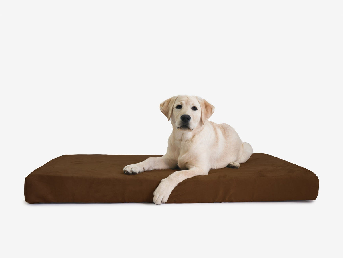 OrthoLift Crate Bed
