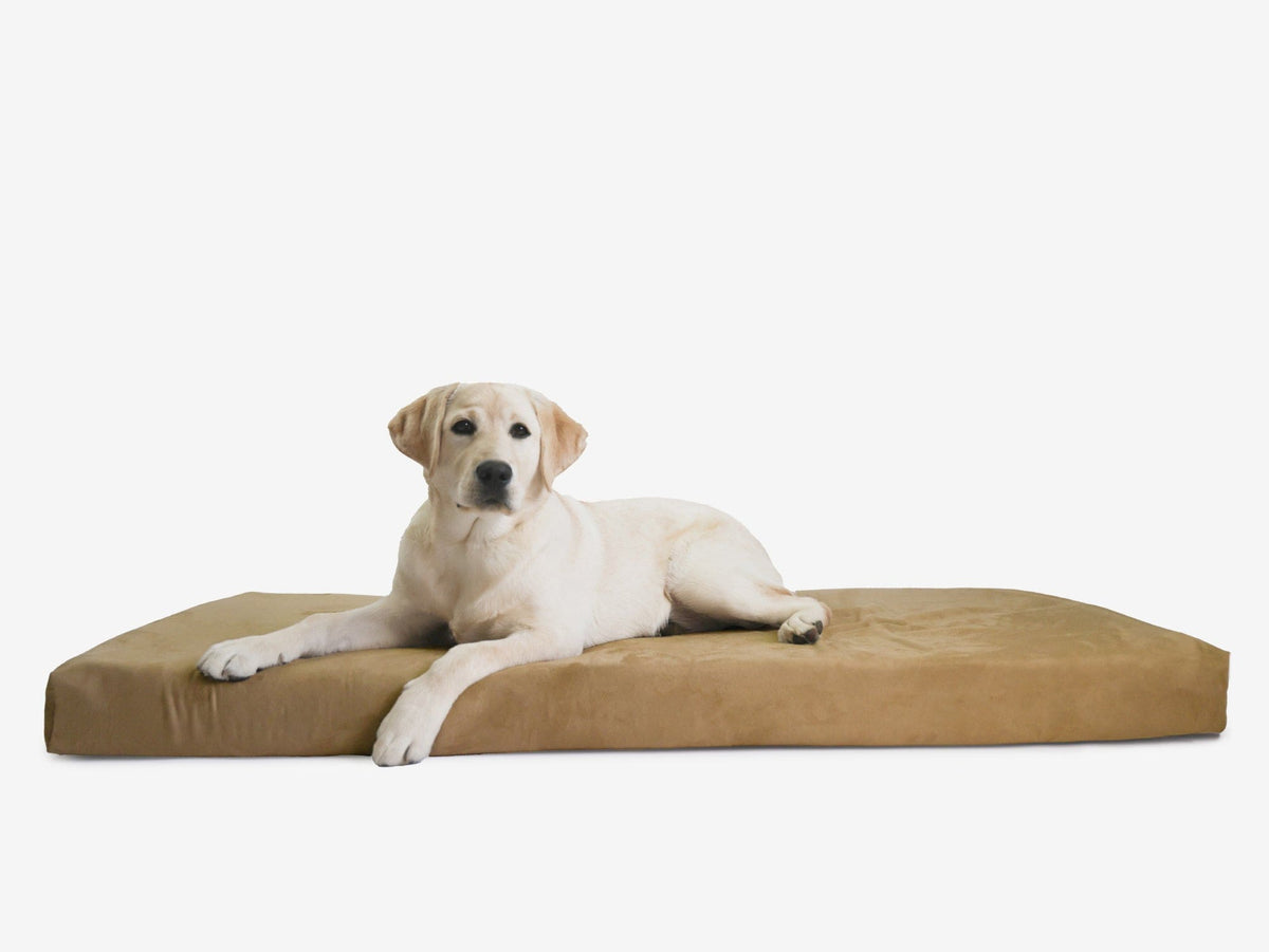 OrthoLift Crate Bed
