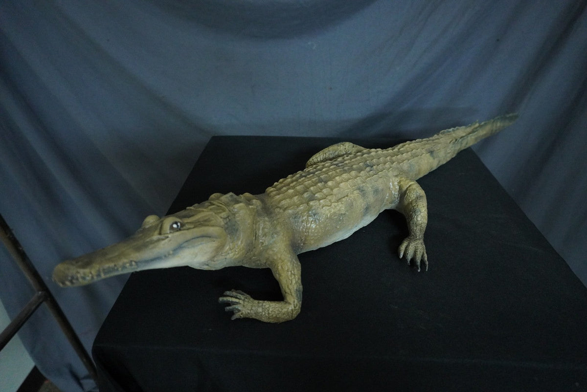 Alligator Prop view 2