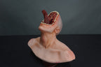 Chomping Clark Mouth Monster Head view 3