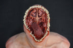 Chomping Clark Mouth Monster Head view 6