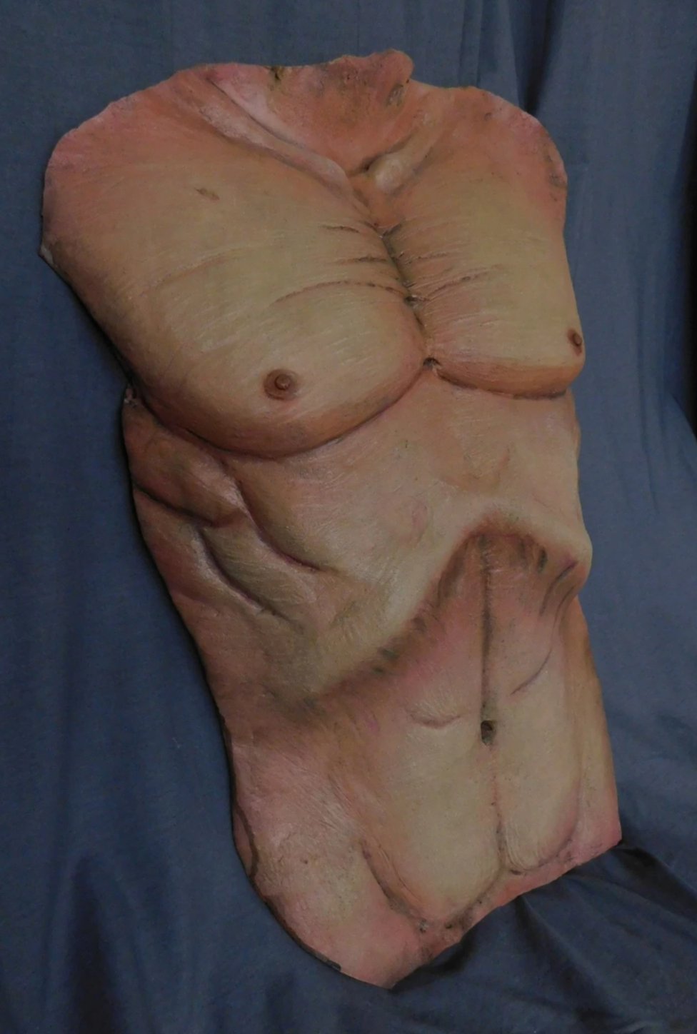 Cadaver Torso Skin view 3