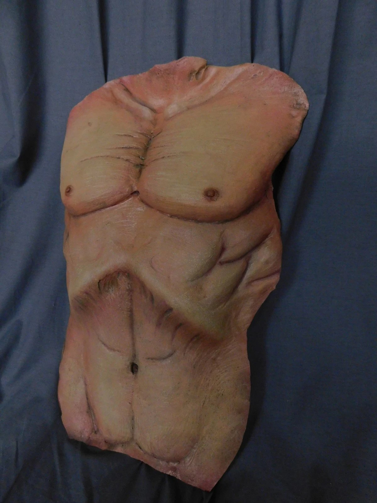 Cadaver Torso Skin view 2