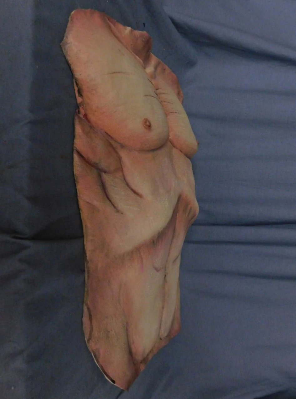 Cadaver Torso Skin view 4