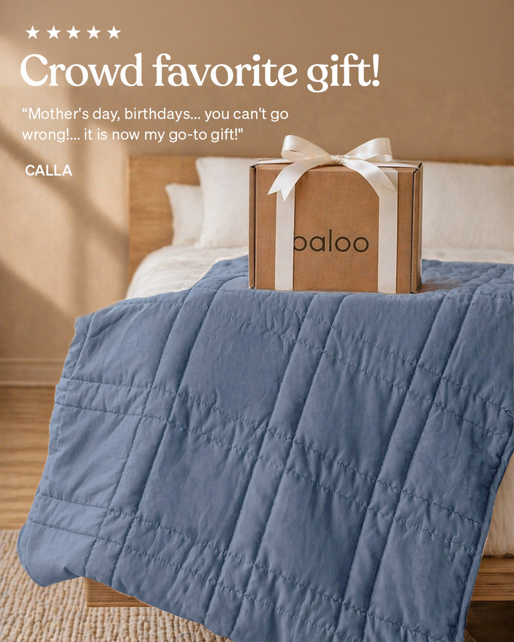 12lb Weighted Throw Blanket + Cotton Duvet Cover