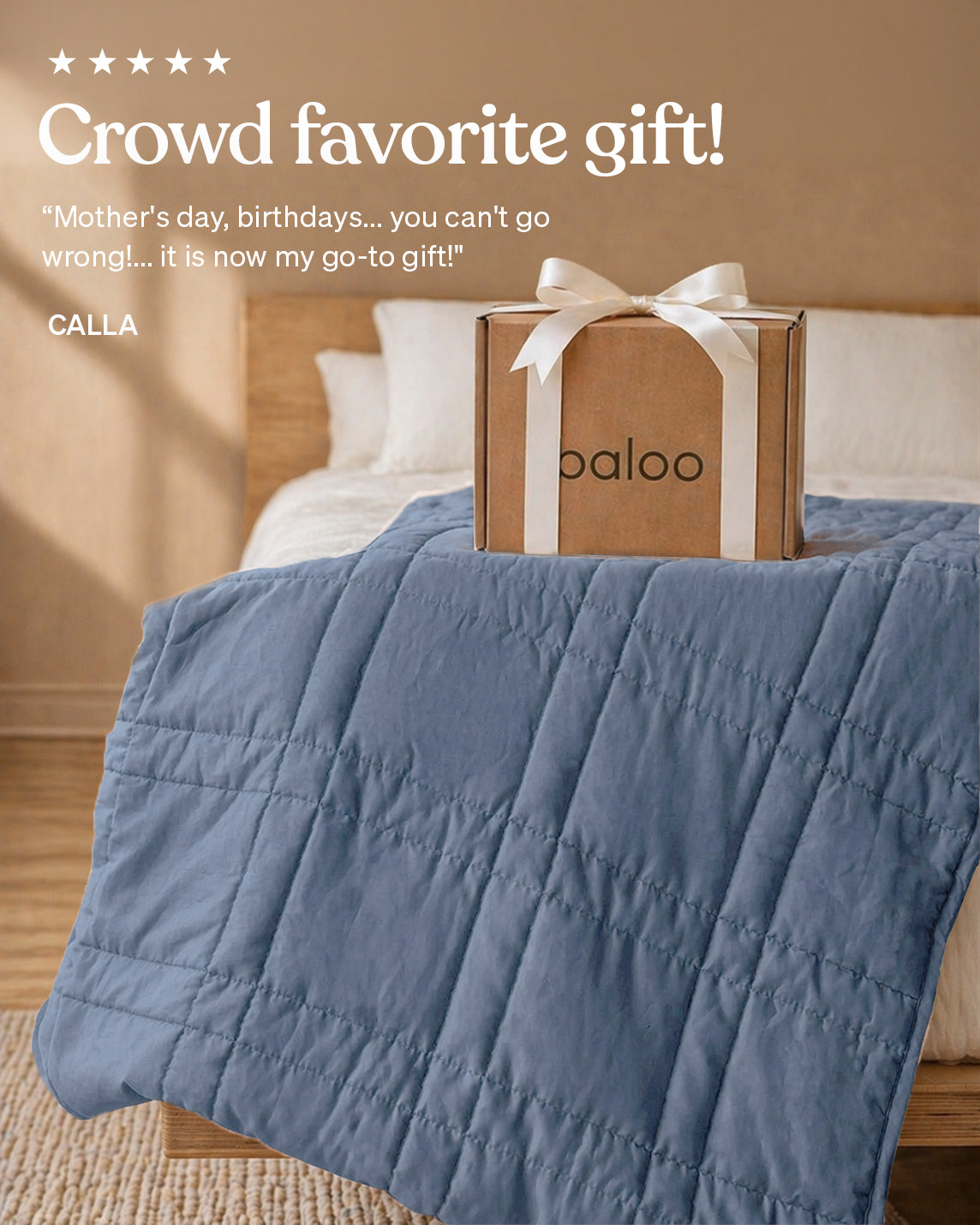 12lb Weighted Throw Blanket + Cotton Duvet Cover