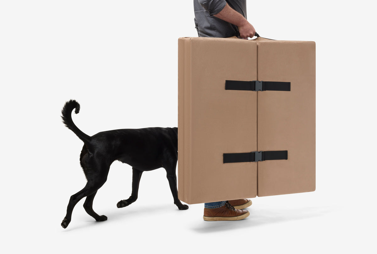 Fold-N-Go Travel Dog Bed