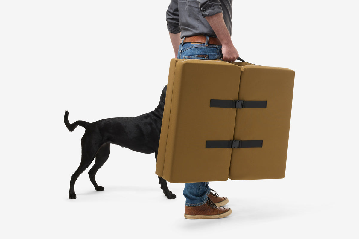 Fold-N-Go Travel Dog Bed