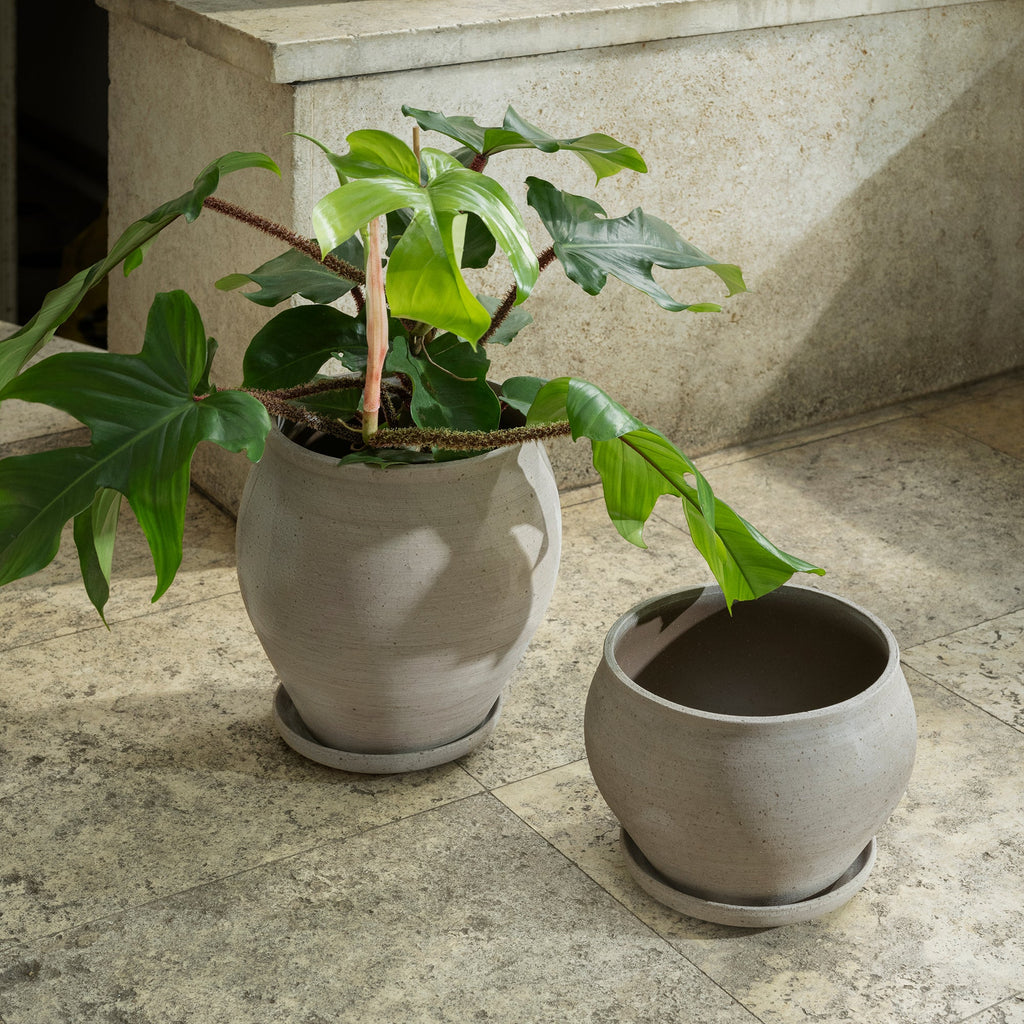 Delphi Ø24 Low Planter & Saucer