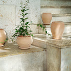 Delphi Ø24 Low Planter & Saucer