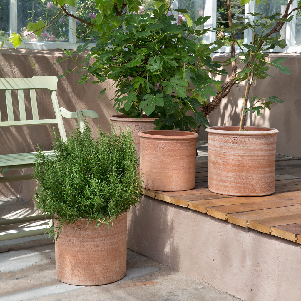 Modena Ø35 Planter & Saucer