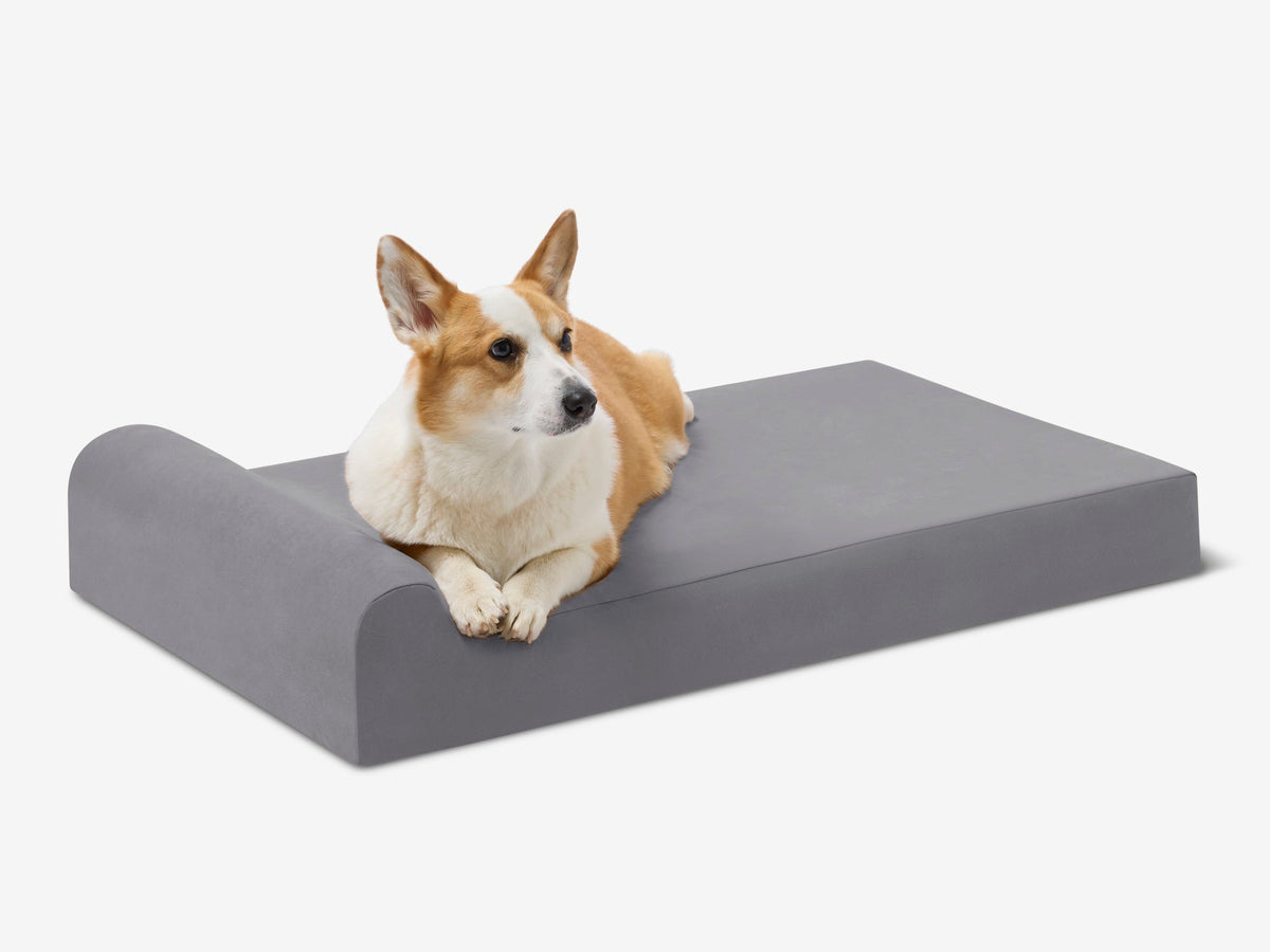 Junior Orthopedic Dog Bed