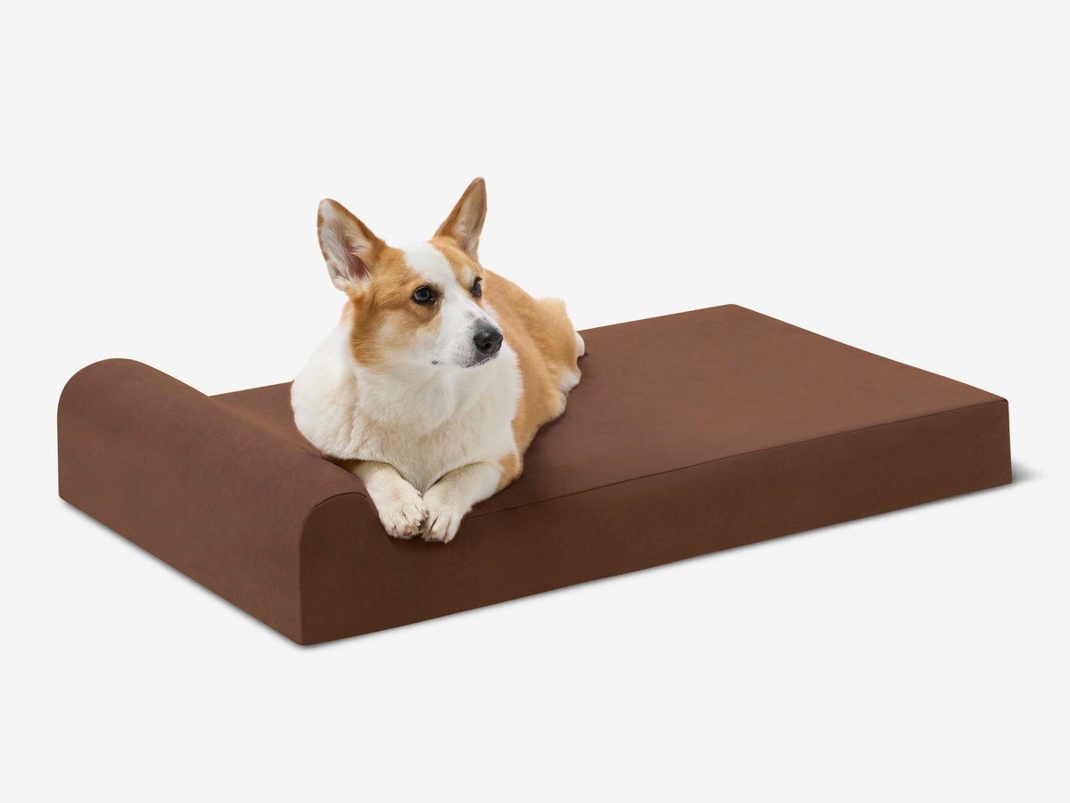 Junior Orthopedic Dog Bed