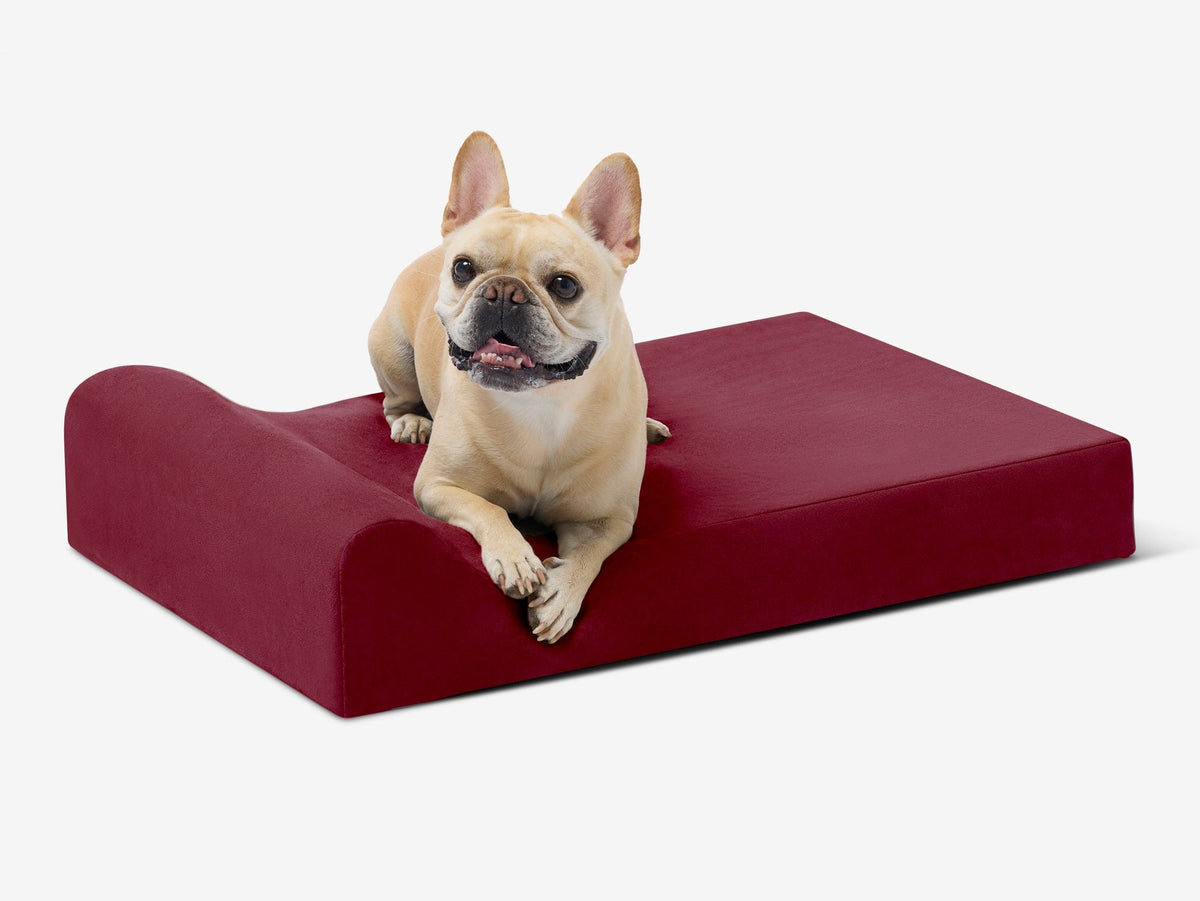 Junior Orthopedic Dog Bed
