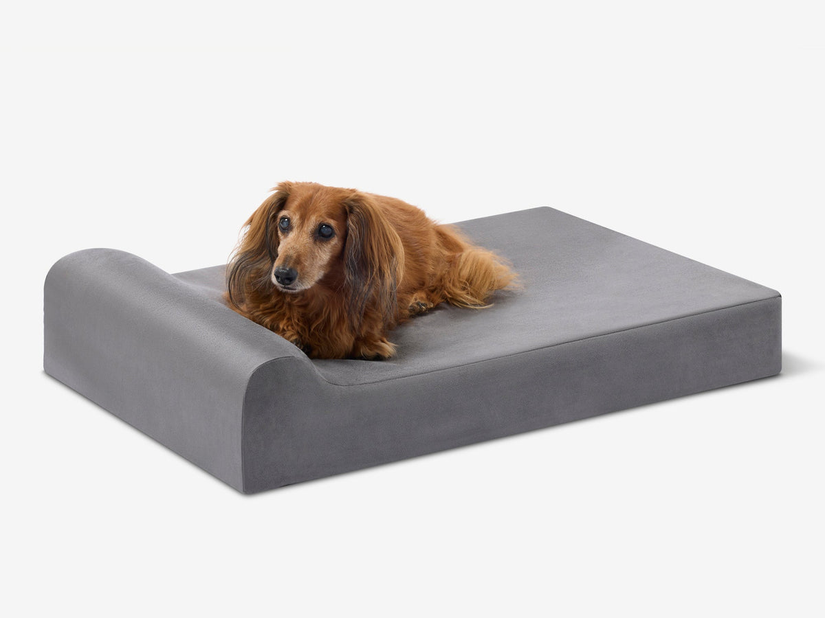 Junior Orthopedic Dog Bed