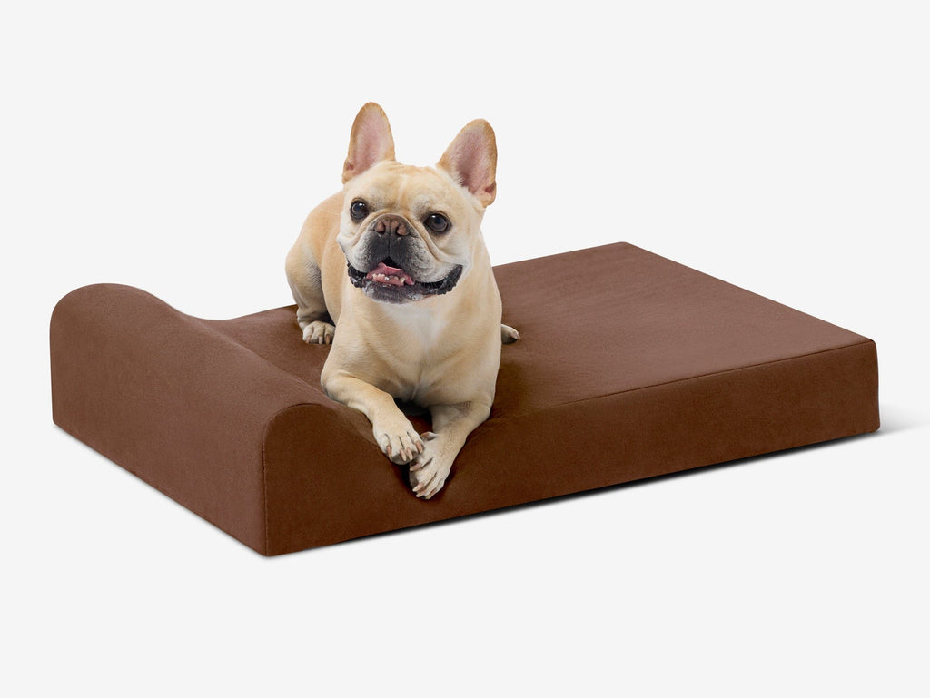 Junior Orthopedic Dog Bed