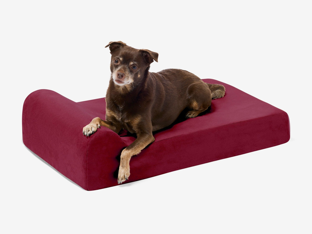 Junior Orthopedic Dog Bed