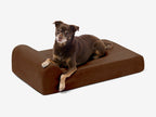 Junior Orthopedic Dog Bed
