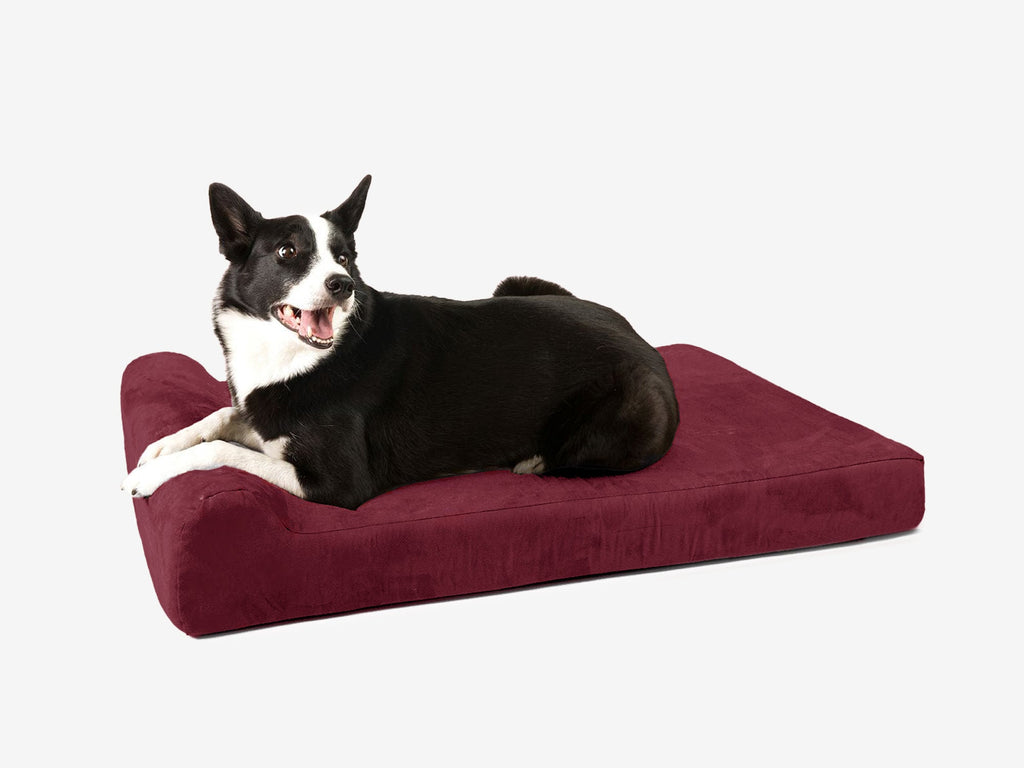 Junior Orthopedic Dog Bed