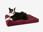 Junior Orthopedic Dog Bed