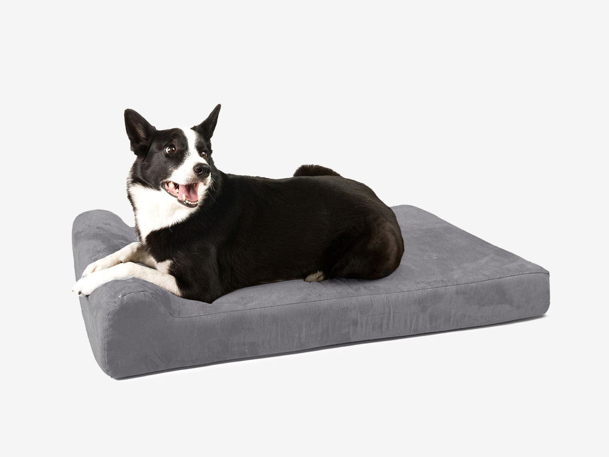 Junior Orthopedic Dog Bed